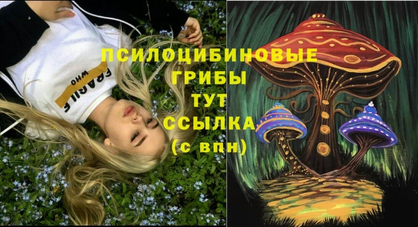 бошки Алексеевка