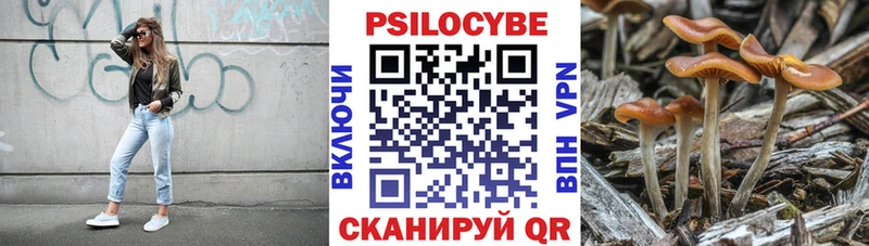 KRAKEN онион  Добрянка  Галлюциногенные грибы мицелий 